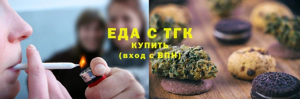 индика Дмитров