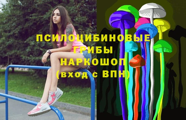 МДМА Няндома