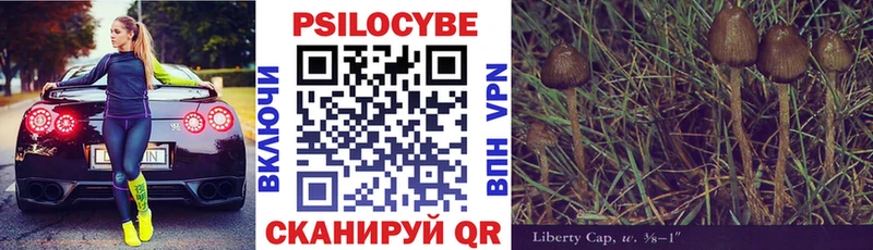 Псилоцибиновые грибы MAGIC MUSHROOMS  даркнет сайт  Бирюч 